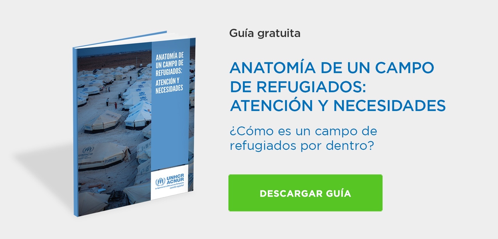 Descarga guía crisis humanitaria 2015