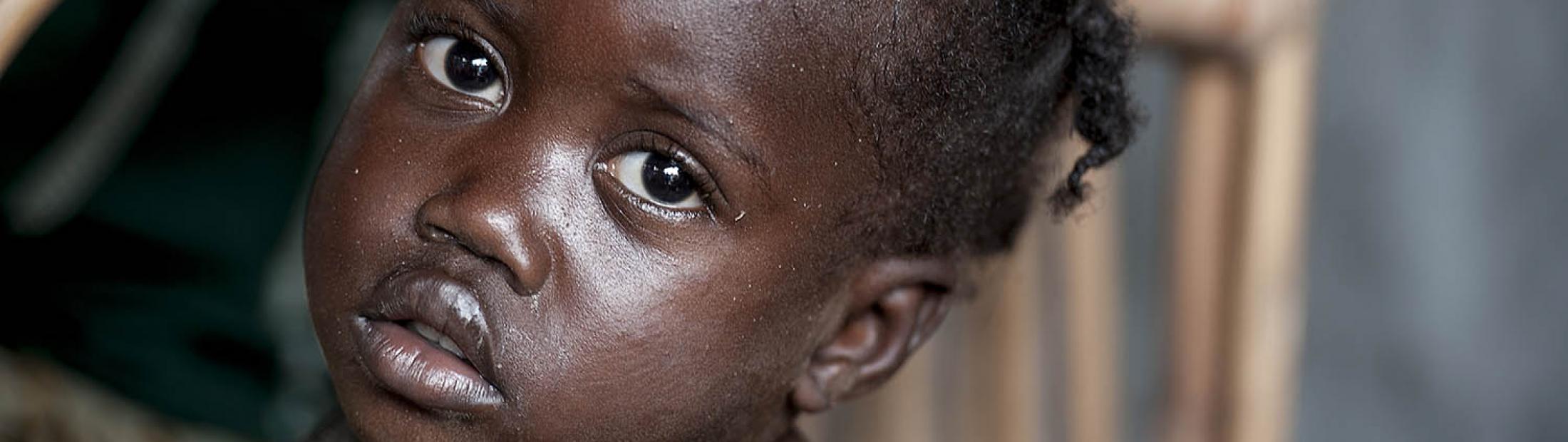 Urgente: necesitan alimentos y refugio