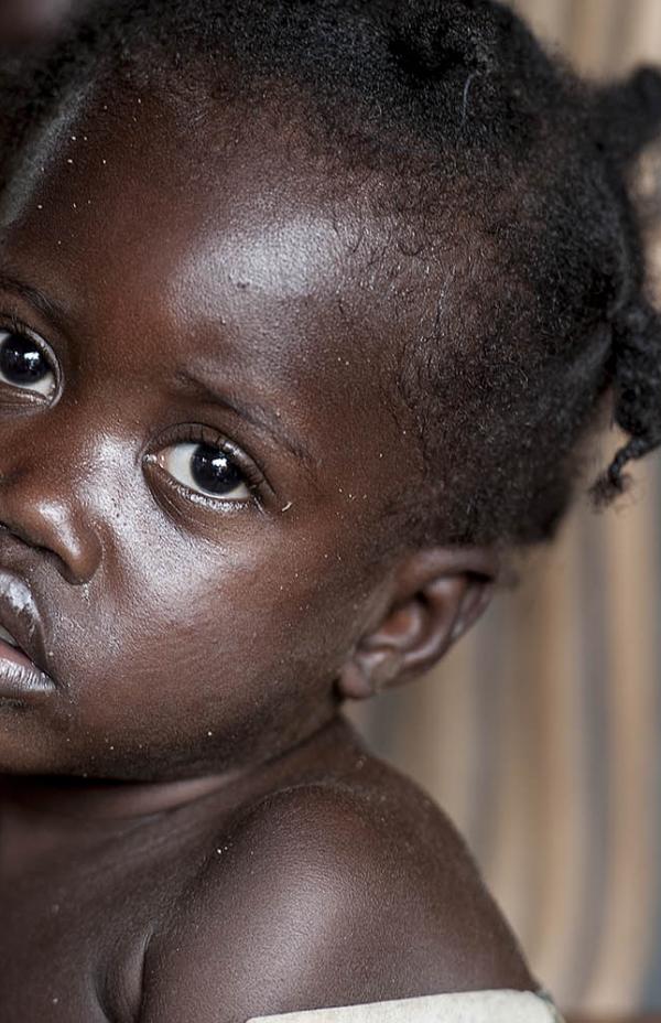 Urgente: necesitan alimentos y refugio